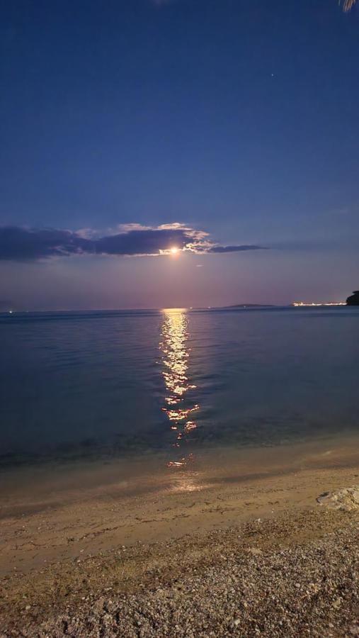 Corfu Paloma *