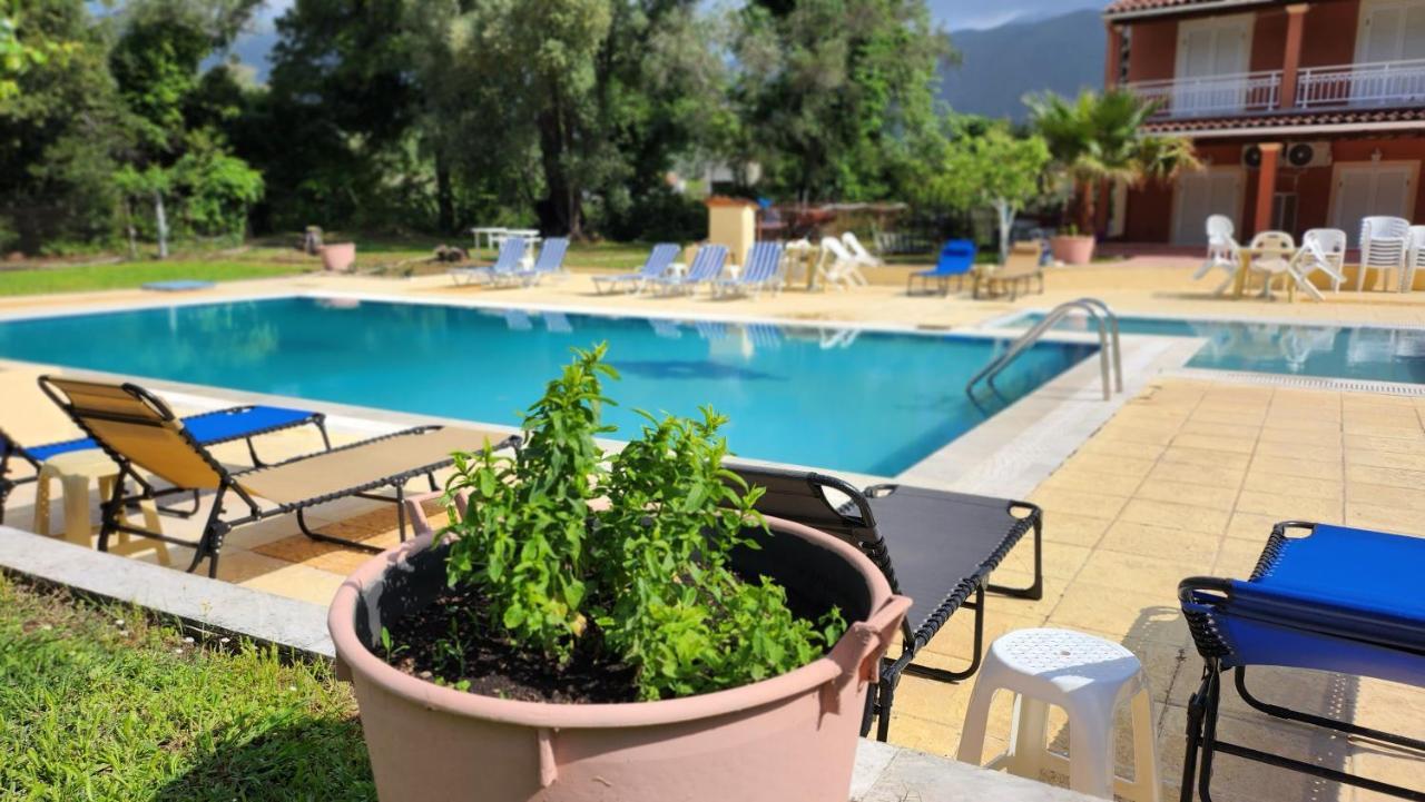Corfu Paloma *